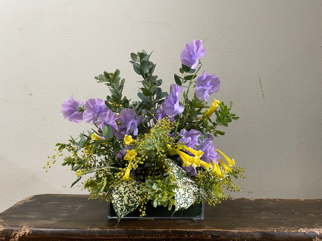 宇宙とのやくそく